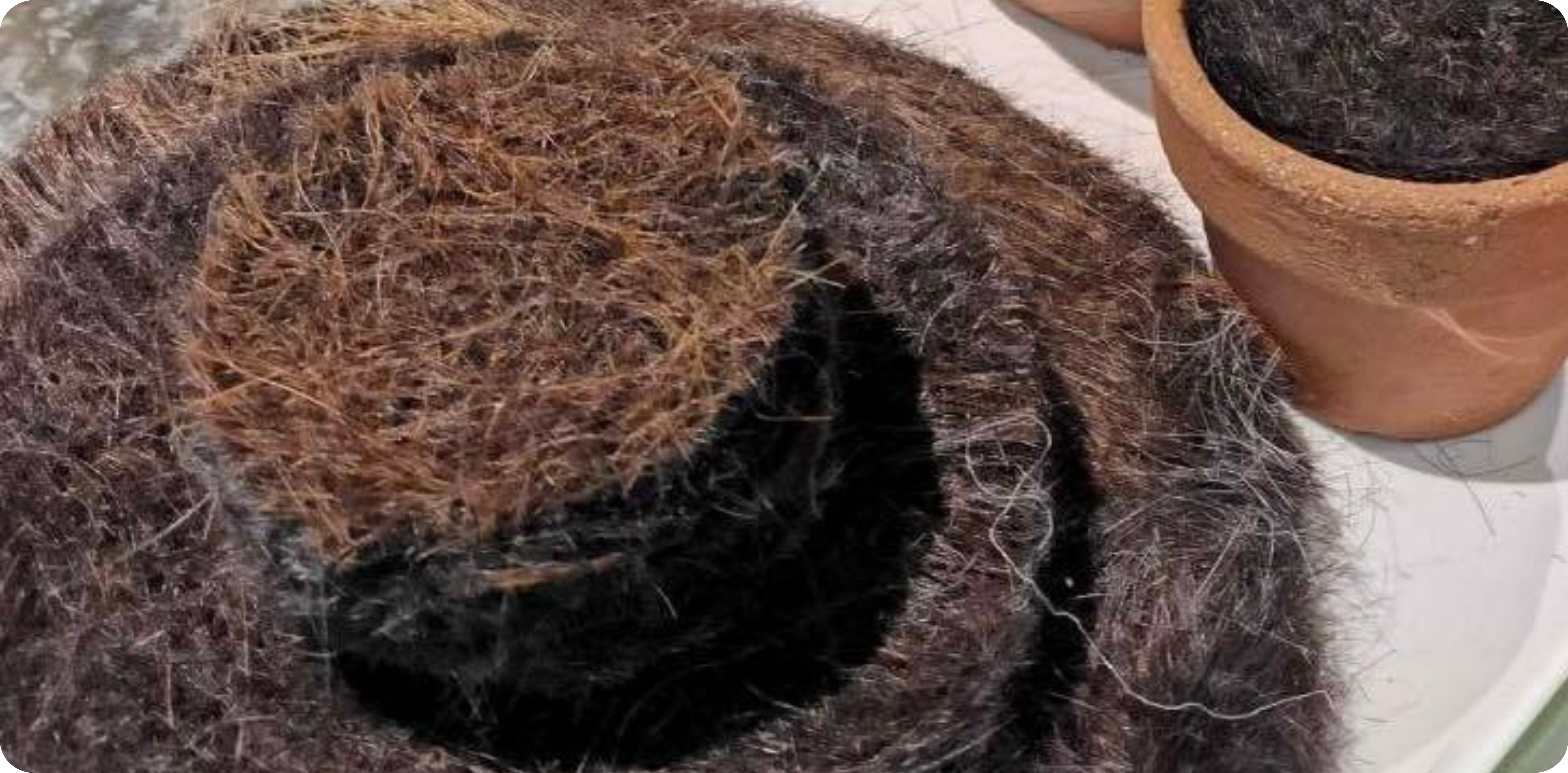 Biodegradable plant growth mats made from felted human hair, designed for soil moisture retention and root support.